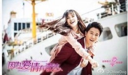 因为爱情有奇迹电视剧全集在线观看,浪漫爱情故事，见证奇迹时刻