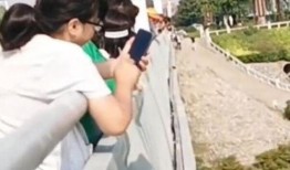 河南女士爆料新闻事件最新,揭露惊人真相，揭开事件背后黑幕